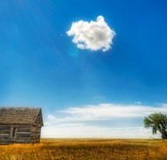 Last cloud in the sky