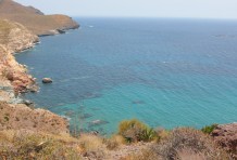 Donec interdum metus et