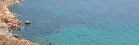 Donec interdum metus et