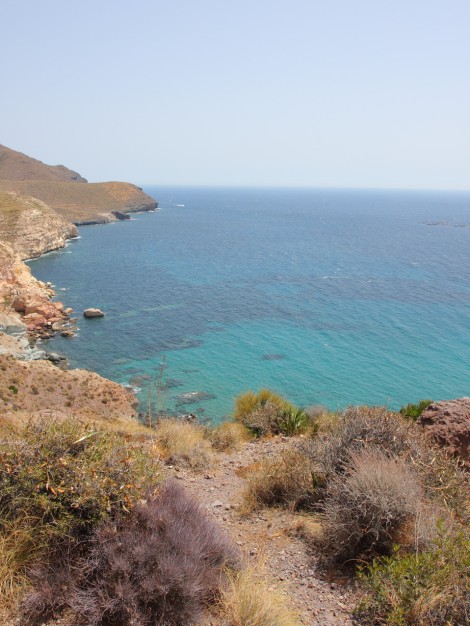 Donec interdum metus et