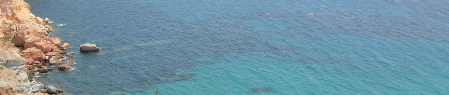 Donec interdum metus et