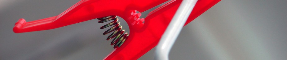 Sed porttitor auctor magna.