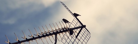 Vestibulum Bibendum Nibh Quis Sollicitudin