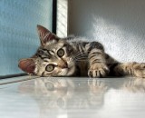 Relax ! Take it easy ! Relax ! Take it easy !