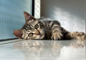 Relax ! Take it easy !