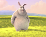 MP4 Self Hosted MP4 Self Hosted