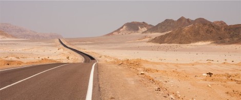 Vestibulum ante ipsum primis