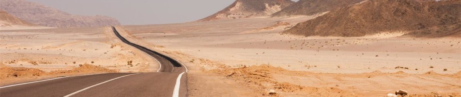 Vestibulum ante ipsum primis